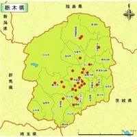画像1575：宇都宮市幕田町
